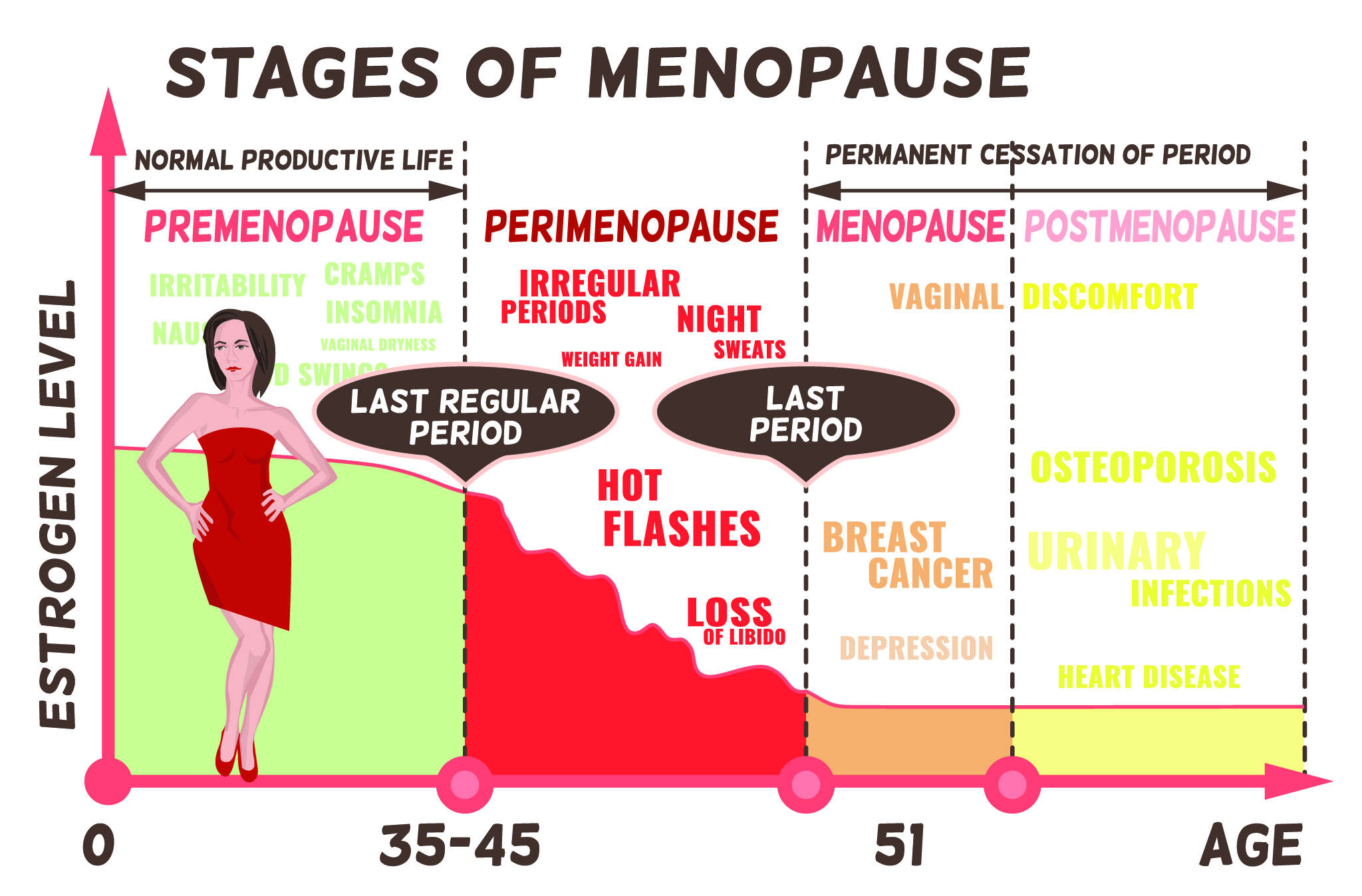 Menopause Stages Diagram